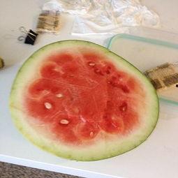 果冻旗下 吃瓜 吃瓜,趣味横生诠释生活态度