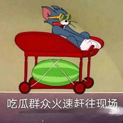 吃瓜搞事业,揭秘网络红人的崛起之路