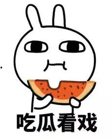 雪宝带你吃瓜,揭秘美食背后的故事