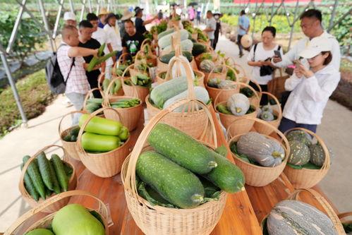 广州立哥吃瓜,揭秘娱乐圈幕后真相