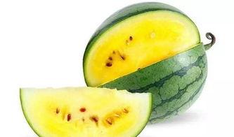 吃蓝瓜好吗,蓝瓜营养价值与食用益处解析