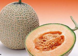 七岁天天吃哈密瓜可以吗,健康饮食新选择