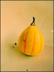 新沂吃瓜合集,揭秘当地美食文化盛宴