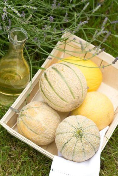 二双吃瓜,揭秘娱乐圈的甜蜜瓜田