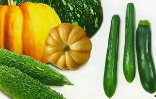 吃瓜老朋友,吃瓜老朋友带你领略幕后风云