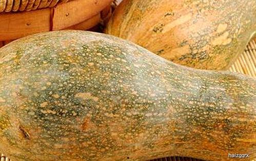 怎么判断瓜坏了没吃