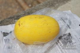 瑞丽村民吃瓜,一场别开生面的乡村吃瓜盛宴