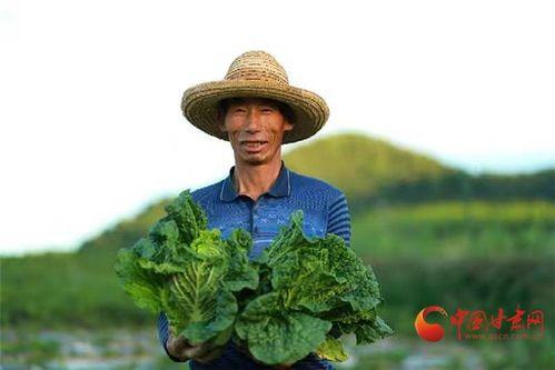 榆中县吃瓜,品味民俗，畅享清凉