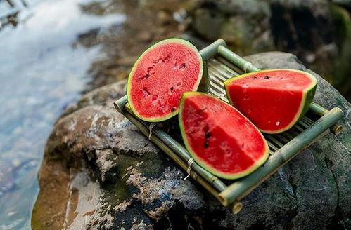 吃瓜相关的诗句,品味古风中的吃瓜艺术