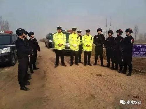 徐水区吃瓜事件视频,一场引发热议的网络视频风波