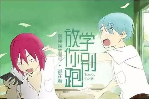 恋爱博主吃瓜,揭秘娱乐圈甜蜜背后的真相