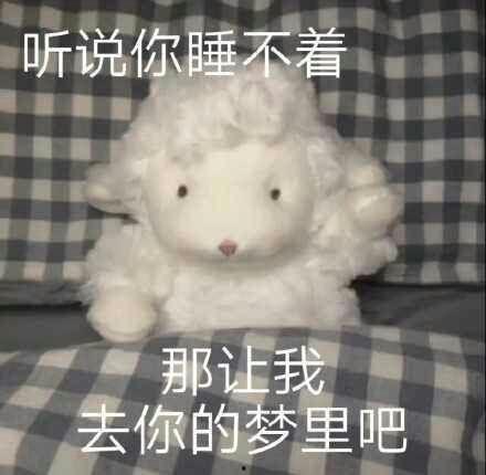 小羊有瓜吃,小羊有瓜吃的幸福生活