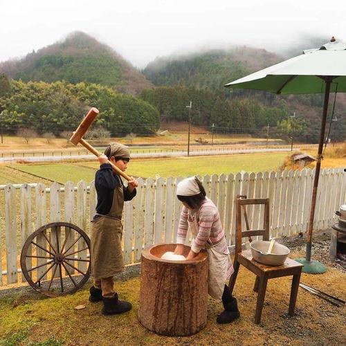 吃瓜盖房子,趣味横生的建筑奇遇记