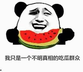 分手理由吃瓜,揭秘令人唏嘘的分手理由