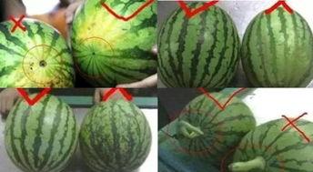 盖盖吃瓜,揭秘娱乐圈背后的那些事儿