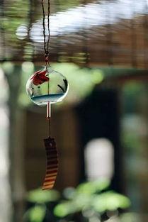 风铃吃瓜小说,穿越时空的奇幻爱情之旅