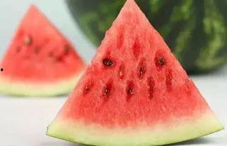 fruit吃瓜群,探索“fruit吃瓜群”的欢乐时光