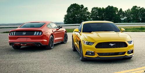 粉红小野马吃瓜,揭秘娱乐圈幕后故事