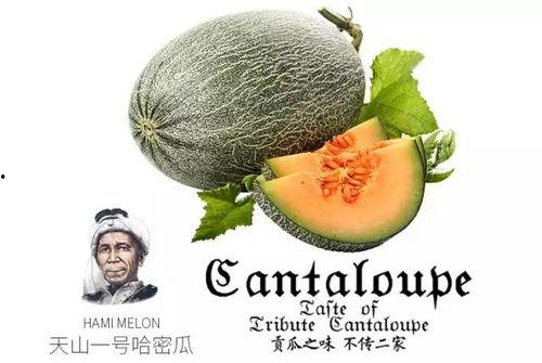 吃瓜号勿扰,带你走进网络舆论的神秘世界