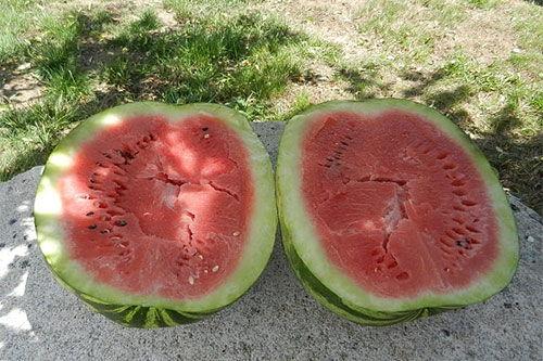 梦见吃西瓜卖瓜,西瓜与卖瓜的奇幻之旅